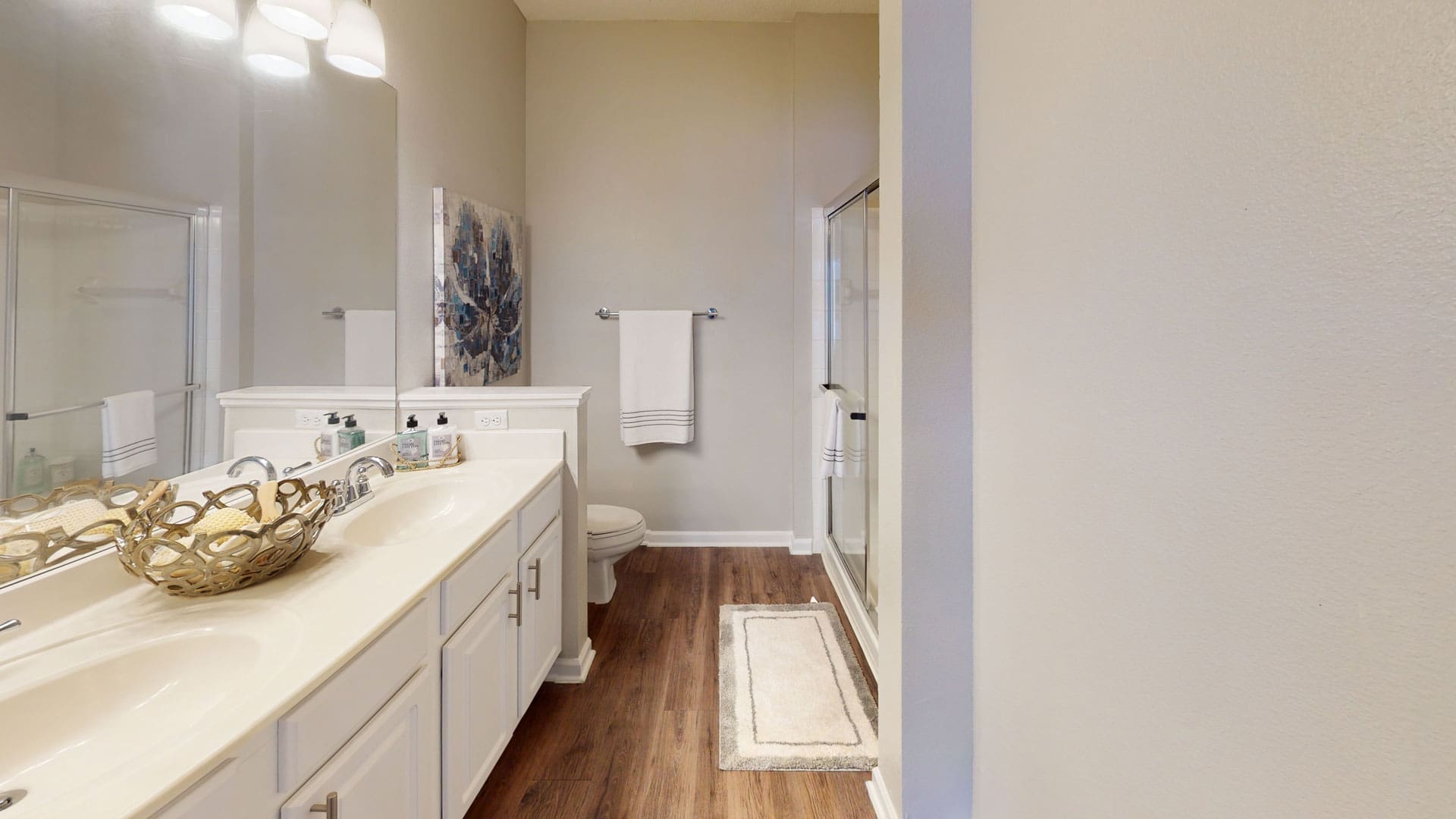 The-Preserve-at-Tampa-Palms-2B-Bathroom